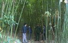 Mọi nhiệm vụ tại Yên Khương đều hướng tới xây dựng thành công xã Nông thôn mới