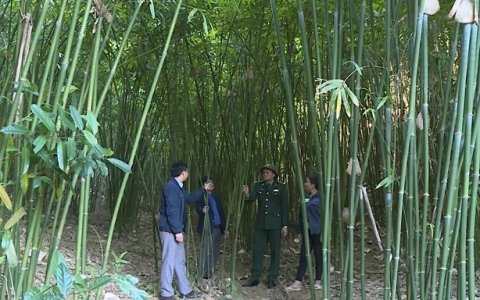 Mọi nhiệm vụ tại Yên Khương đều hướng tới xây dựng thành công xã Nông thôn mới