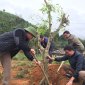 Xã Yên Khương tổ chức Lễ phát động tết trồng cây xuân Kỷ Hợi năm 2019.