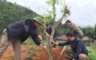 Xã Yên Khương tổ chức Lễ phát động tết trồng cây xuân Kỷ Hợi năm 2019.