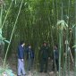 Mọi nhiệm vụ tại Yên Khương đều hướng tới xây dựng thành công xã Nông thôn mới